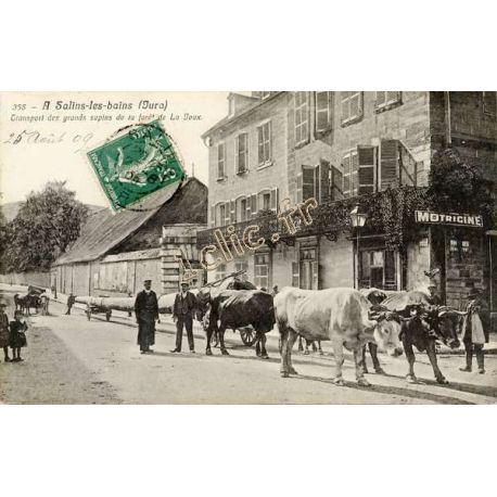 SALINS-LES-BAINS