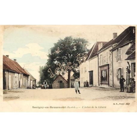 SAVIGNY-EN-REVERMONT