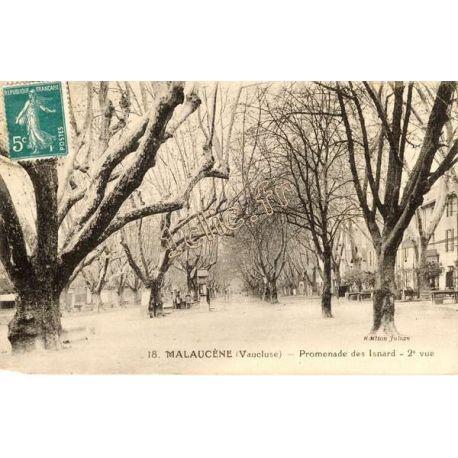 MALAUCENE