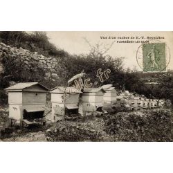 Apiculture