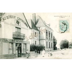 Neuvy-Le-Roi